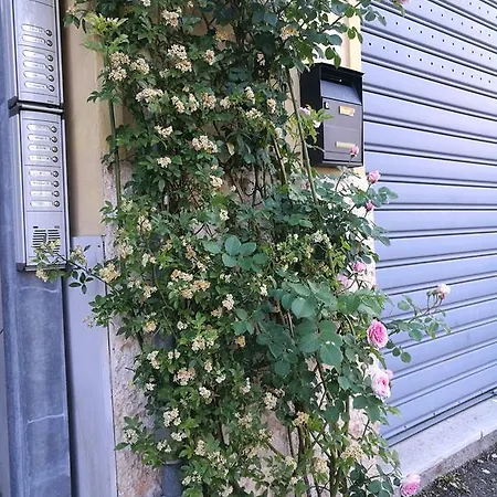 Parma *